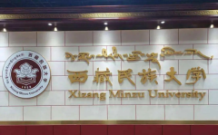受行业注目的“中国心”2025年度十佳策动机及混